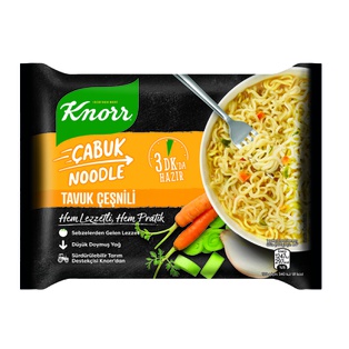 Quick Noodle With Chicken Flavor 66 Gr